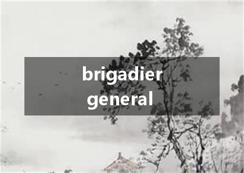 brigadier general是什么意思