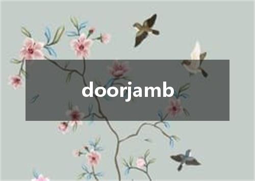 doorjamb是什么意思