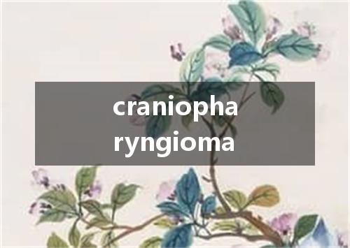 craniopharyngioma是什么意思