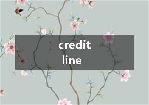 credit line是什么意思