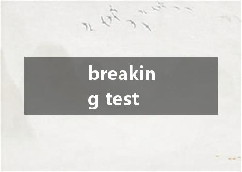 breaking test是什么意思