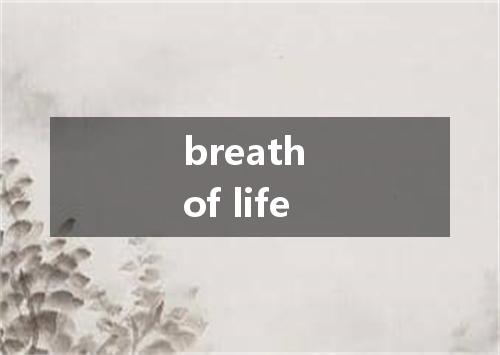 breath of life是什么意思