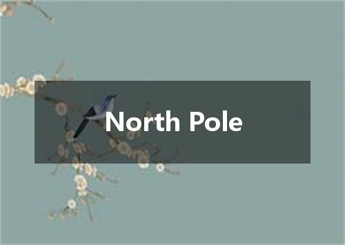 North Pole是什么意思