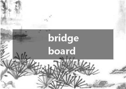 bridgeboard是什么意思