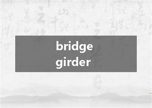 bridge girder是什么意思