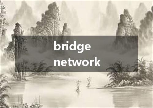 bridge network是什么意思