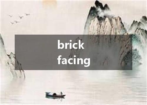 brick facing是什么意思