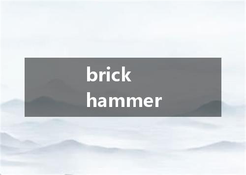 brick hammer是什么意思