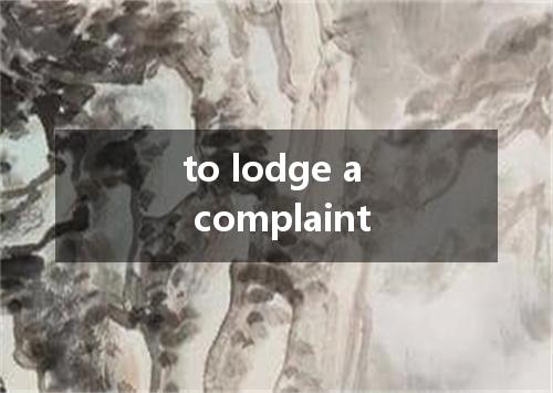 to lodge a complaint是什么意思