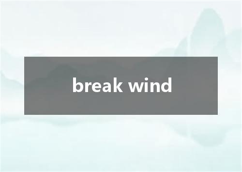 break wind是什么意思