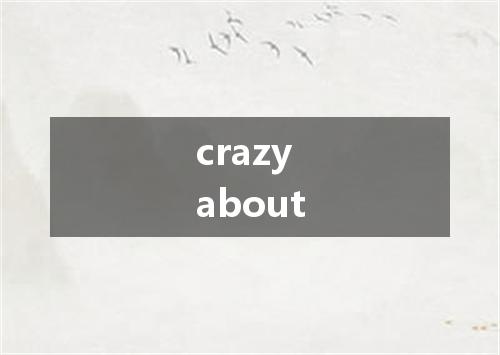 crazy about是什么意思