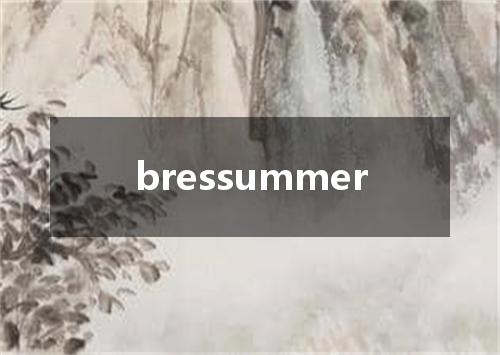 bressummer是什么意思