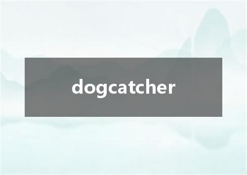 dogcatcher是什么意思