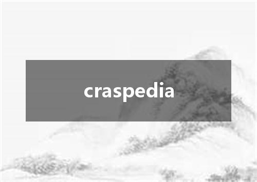 craspedia是什么意思