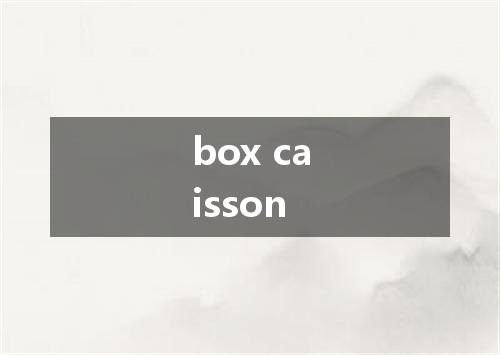 box caisson是什么意思