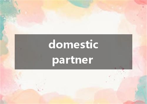 domestic partner是什么意思