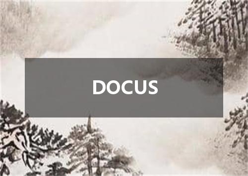 DOCUS是什么意思