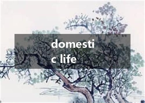 domestic life是什么意思