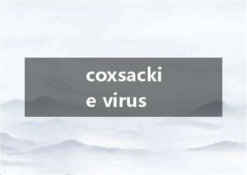 coxsackie virus是什么意思