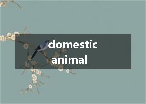 domestic animal是什么意思