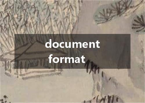 document format是什么意思