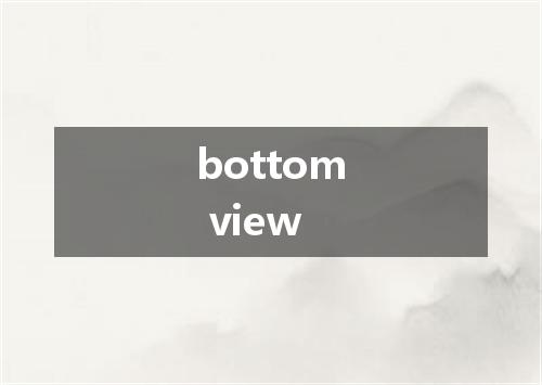 bottom view是什么意思