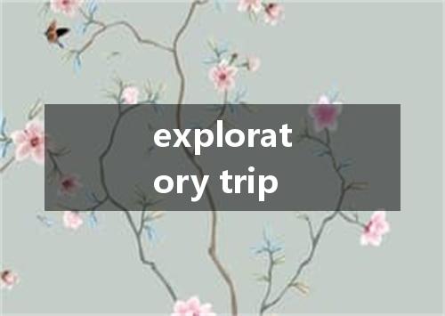 exploratory trip是什么意思