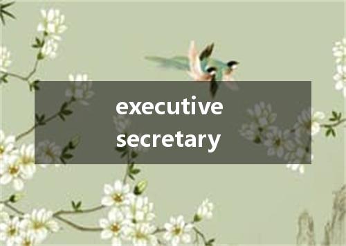 executive secretary是什么意思