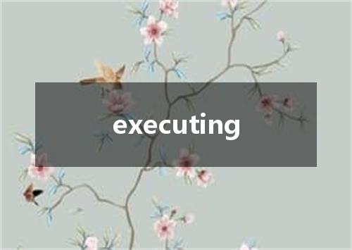 executing是什么意思