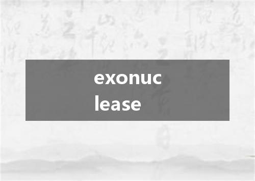 exonuclease是什么意思