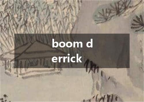boom derrick是什么意思