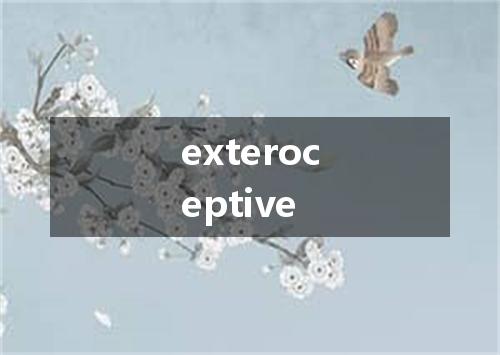 exteroceptive是什么意思