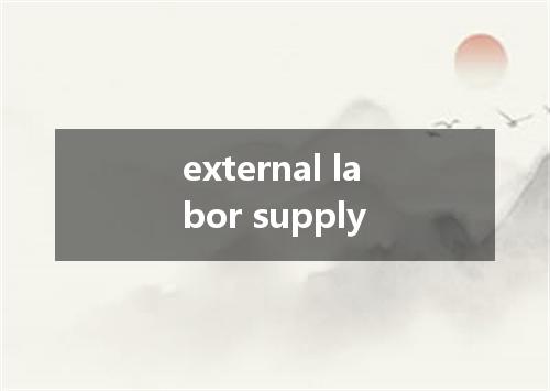 external labor supply是什么意思