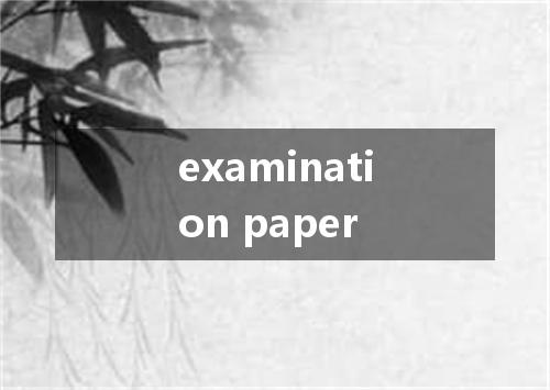examination paper是什么意思