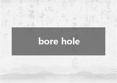 bore hole是什么意思