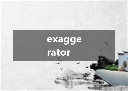 exaggerator是什么意思