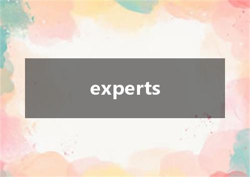 experts是什么意思