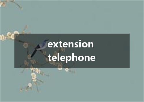 extension telephone是什么意思