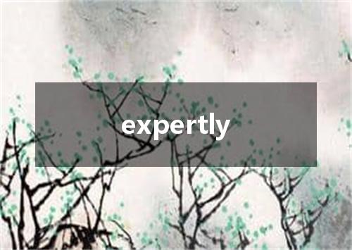 expertly是什么意思