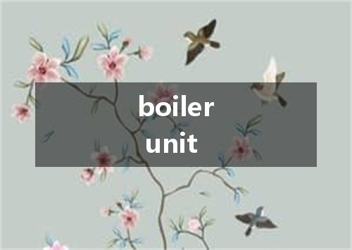 boiler unit是什么意思