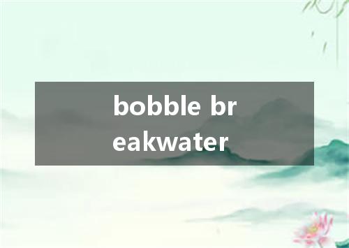 bobble breakwater是什么意思