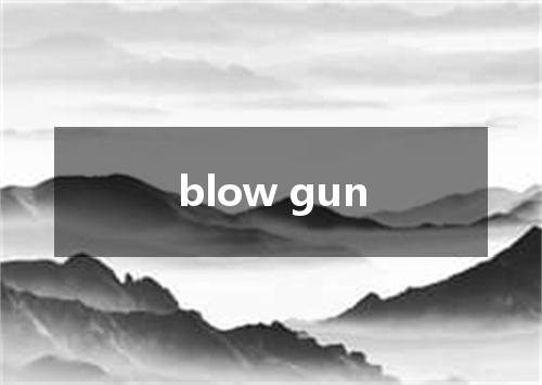 blow gun是什么意思