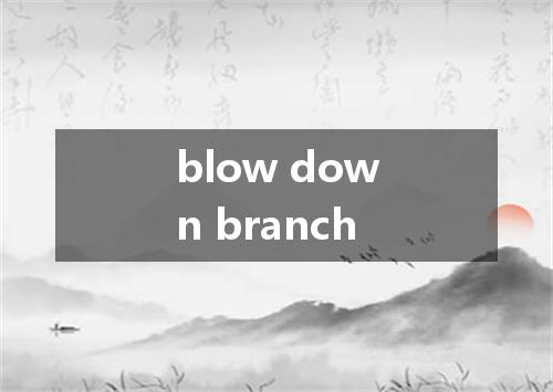 blow down branch是什么意思