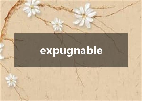 expugnable是什么意思