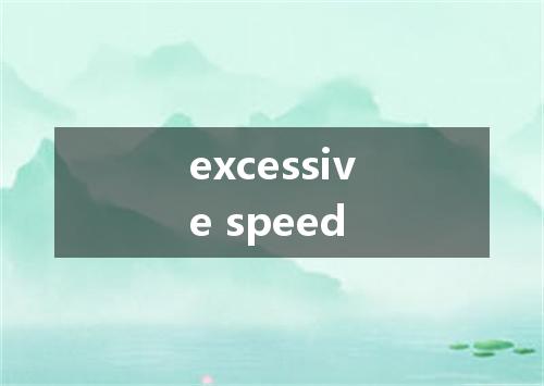 excessive speed是什么意思