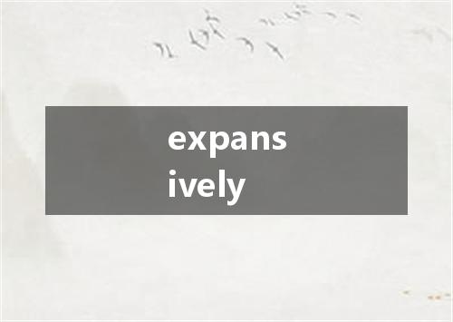 expansively是什么意思