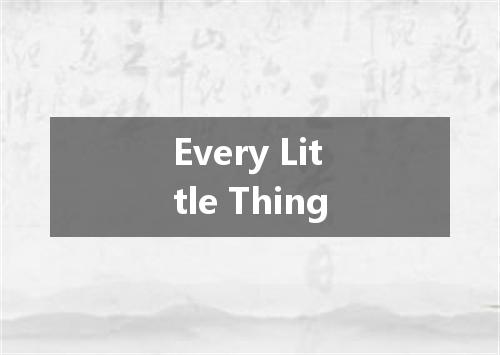 Every Little Thing是什么意思