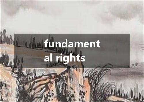 fundamental rights是什么意思
