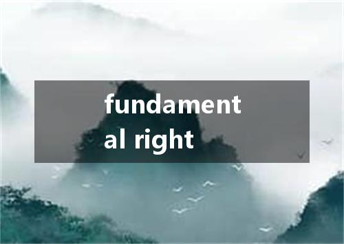 fundamental right是什么意思