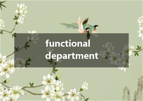 functional department是什么意思